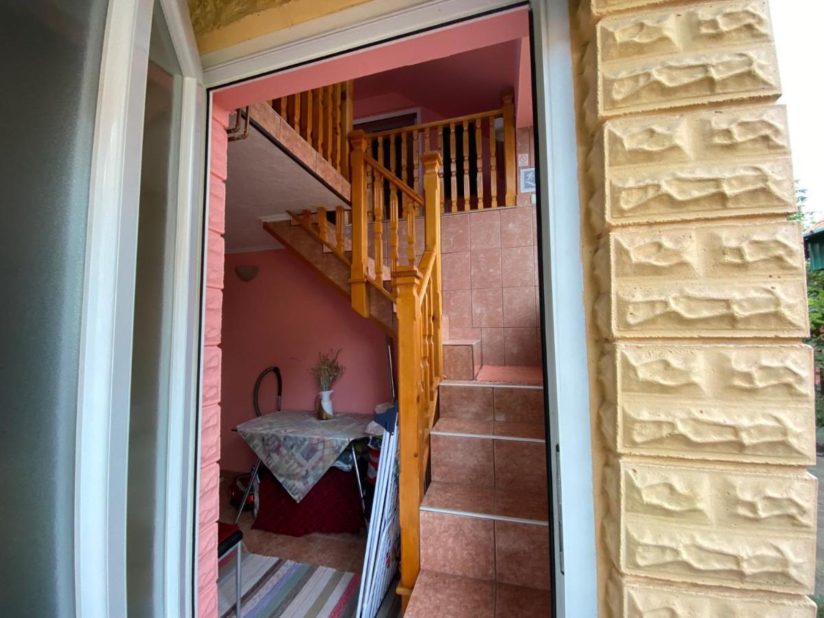 Sud ,,Antal I Olga,, Bed & Breakfast Skorenovac Exterior photo